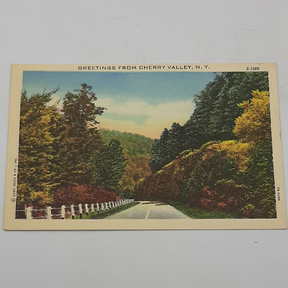 Greetings from Cherry Valley NY Vintage Antique Postcard Colored S-1086